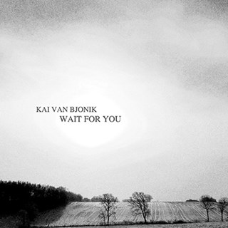 Wait For You by Kai Van Bjonik Download