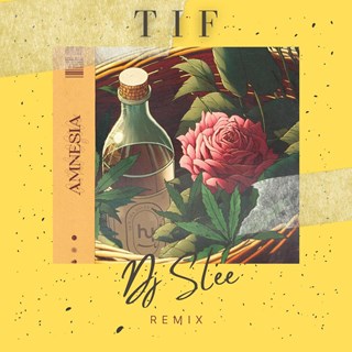 Amnesia by Tif X DJ S Lee Download