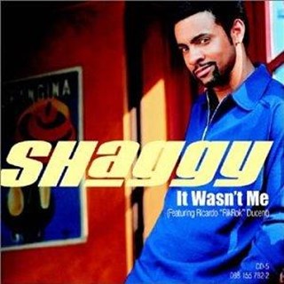 It Wasnt Me by Shaggy Download