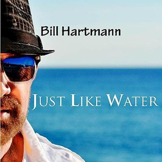 Here Again by Bill Hartmann Download