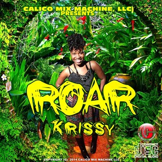 Roar Cover by Krissy Download