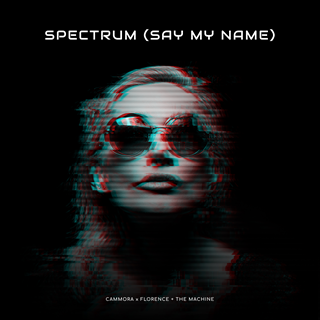 Spectrum by Cammora vs Florence & The Machine Download