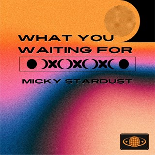 What You Waiting For by Micky Stardust Download