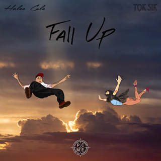 Fall Up by Halee Cole & Tok Sik Download