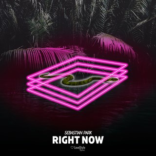 Right Now by Sebastian Park Download