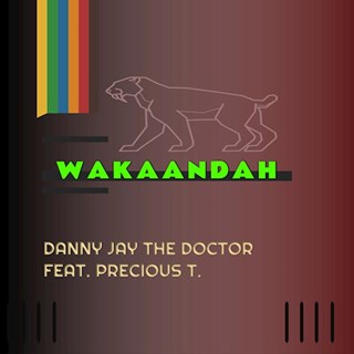 Wakaandah by Danny Jay The Doctor Download