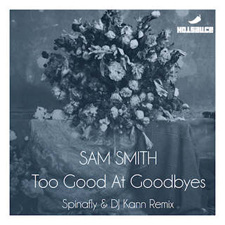 Too Good At Goodbyes by Sam Smith Download