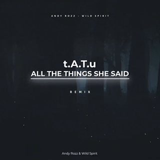 All The Things She Said by Tatu Download