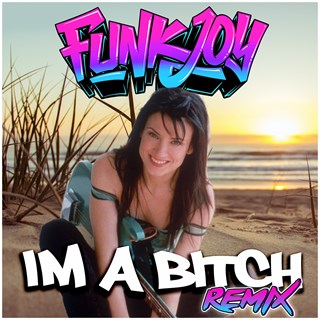 Im A Bitch by Meredith Brooks Download