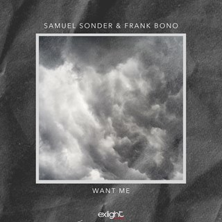 Want Me by Samuel Sonder & Frank Bono Download