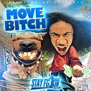 Move Bitch by Ludacris ft Mystikal Download