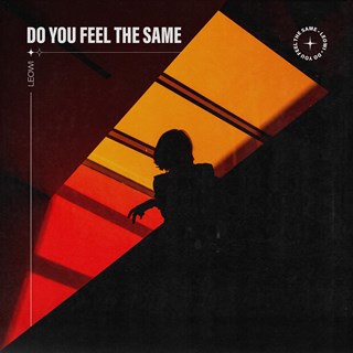 Do You Feel The Same by Leowi Download