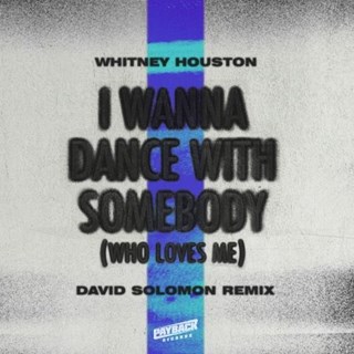 I Wanna Dance With Somebody Who Loves Me by Whitney Houston & David Solomon Download