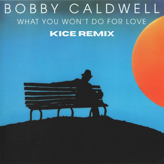 What You Wont Do For Love by Bobby Caldwell Download