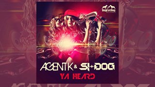 Ya Heard by Agent K & Si Dog Download