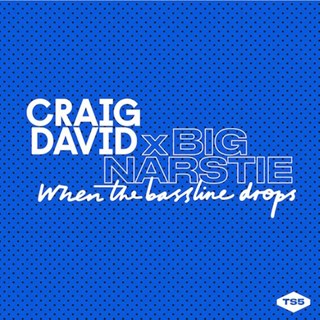 Bassline Drops by Craig David Download
