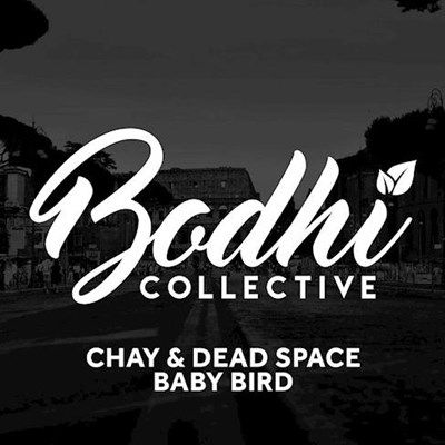 Chay & Dead Space - Baby Bird (Original Mix)