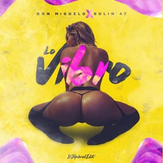Lo Vibro by Don Miguelo ft Bullin 47 Download