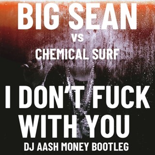 I Dont Fuck With You by Big Sean vs Chemical Surf Download