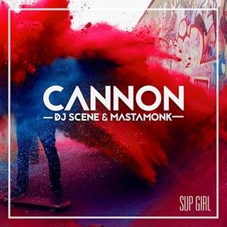 Cannon by DJ Scene & Mastamonk Download
