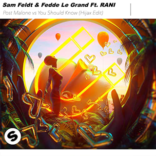 Post Malone vs You Should Know by Sam Feldt & Fedde Le Grand ft Rani Download