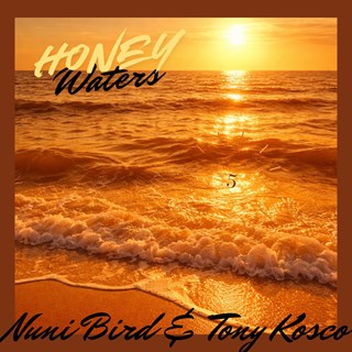 Honey Waters Original by Tony Kosco ft Nuni Bird Download