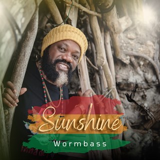 Sunshine by Wormbass Download