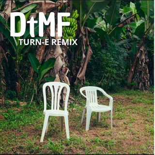 Dtmf Turn E Edm Remix by Bad Bunny ft Turn E Download