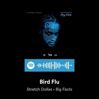 Bird Flu by Stretch Dollas Download