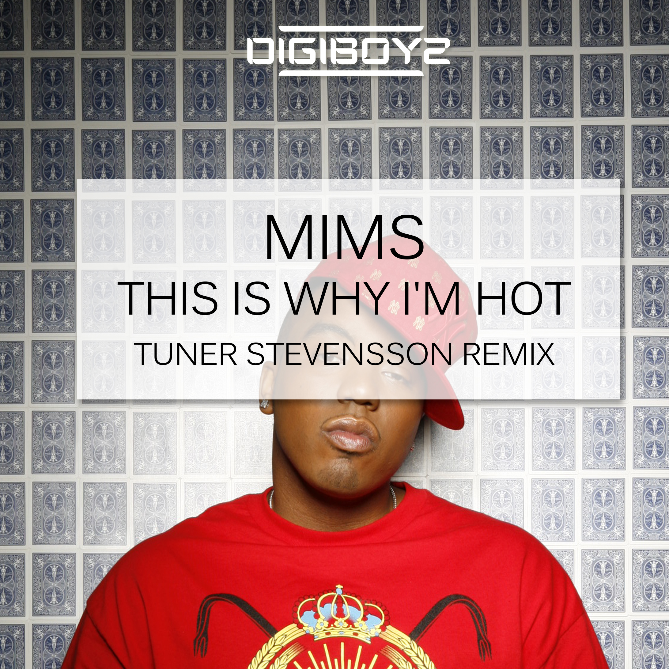 Song Lyric This Is Why Im Hot Mims Soundcloud Mp3 252 MB